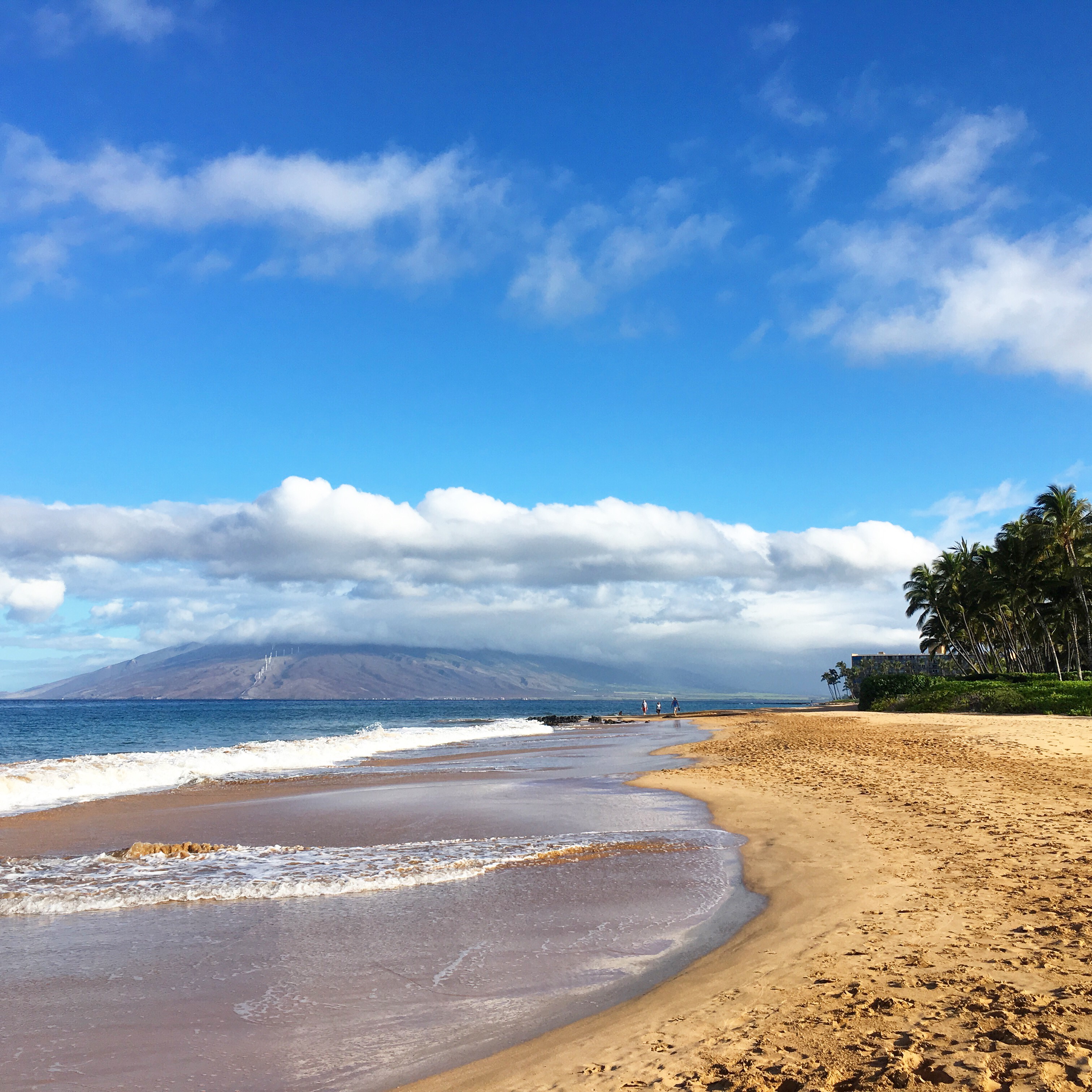 Hawaje, Maui